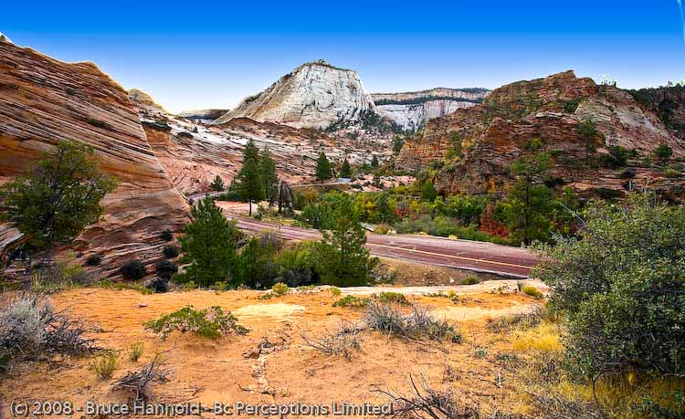 ZION'S WAY